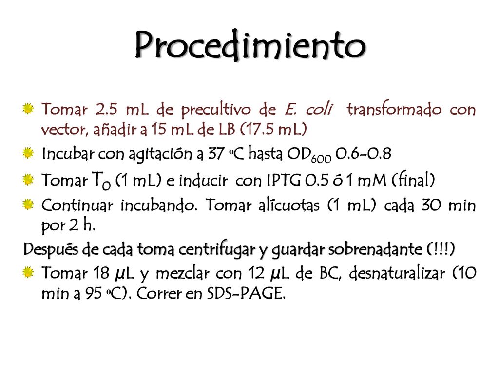 Procedimiento Tomar 2.5 mL de precultivo de E. coli transformado con vector, añadir a 15 mL de LB (17.5 mL)
