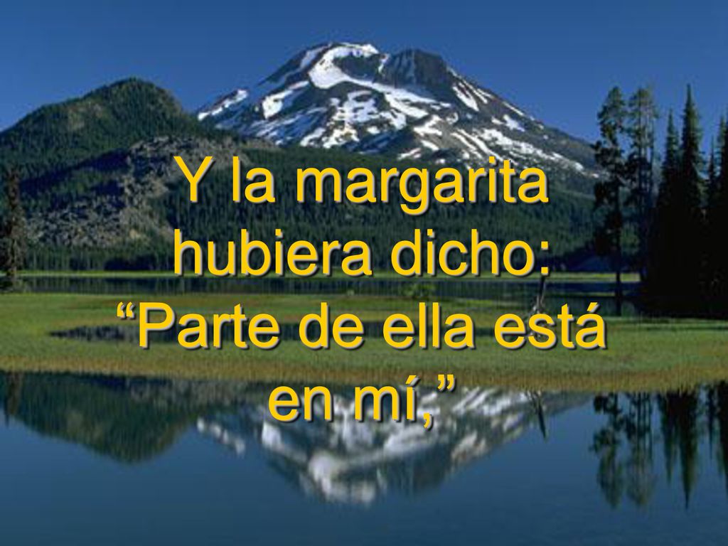 Y la margarita hubiera dicho: Parte de ella está en mí,