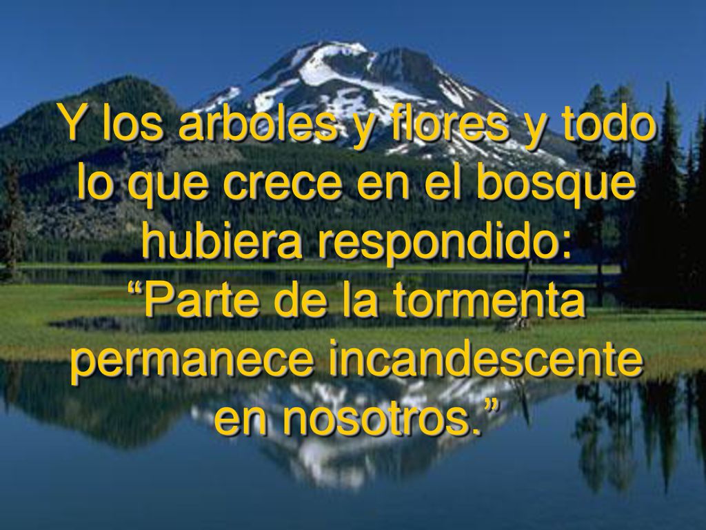 Y los arboles y flores y todo lo que crece en el bosque hubiera respondido: Parte de la tormenta permanece incandescente en nosotros.