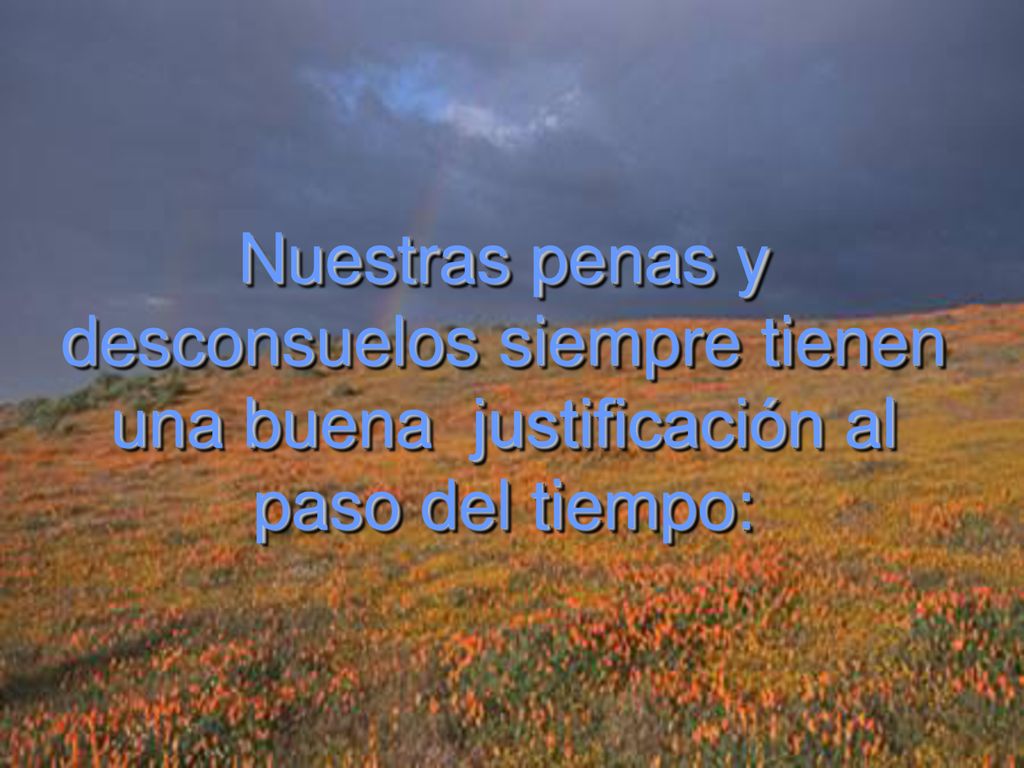Nuestras penas y desconsuelos siempre tienen una buena justificación al paso del tiempo: