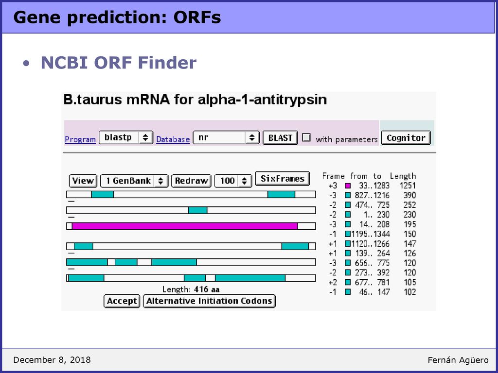 Gene prediction: ORFs NCBI ORF Finder December 8, 2018 Fernán Agüero