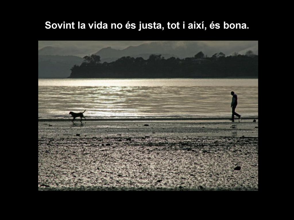Sovint la vida no és justa, tot i així, és bona.