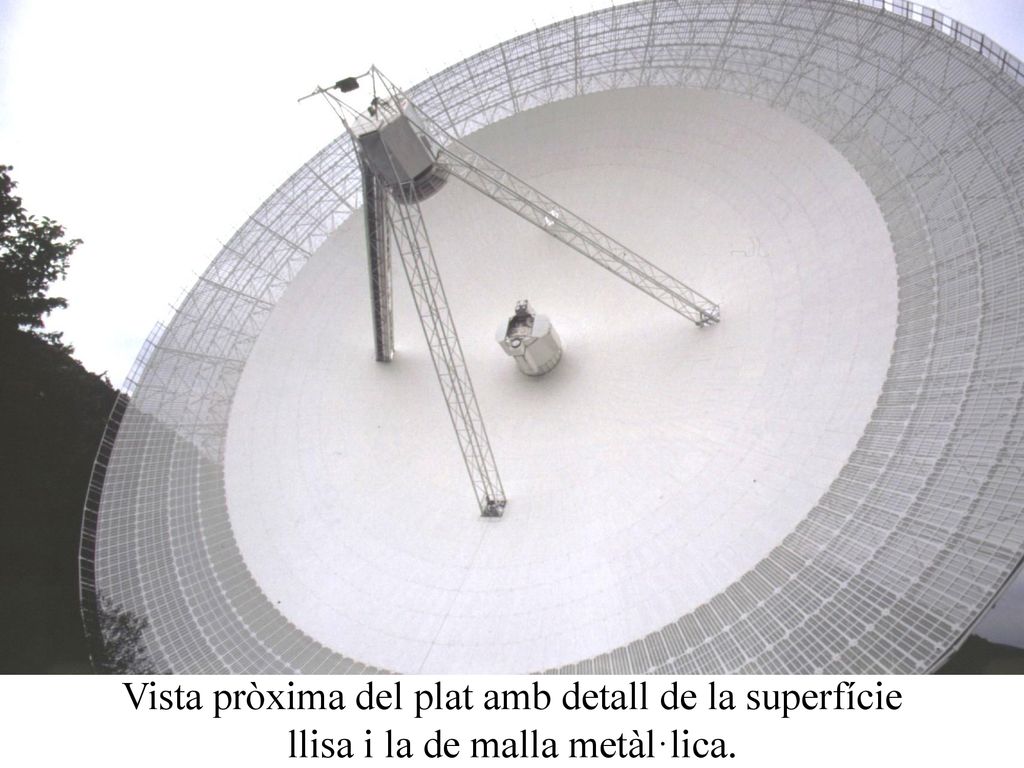 Vista pròxima del plat amb detall de la superfície llisa i la de malla metàl·lica.