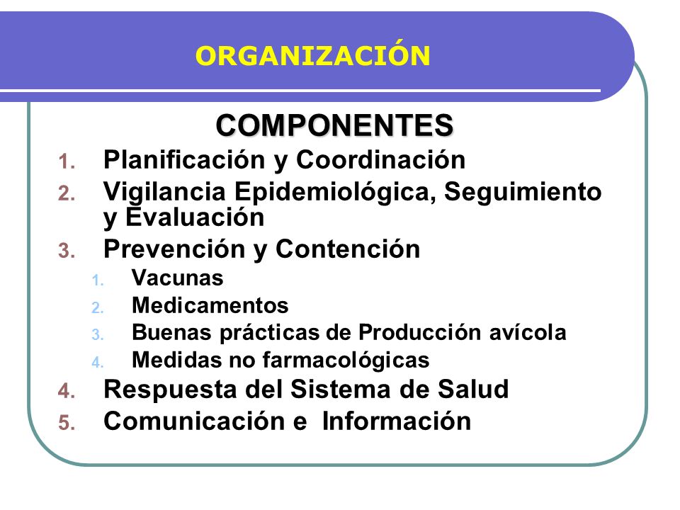 COMPONENTES ORGANIZACIÓN Planificación y Coordinación