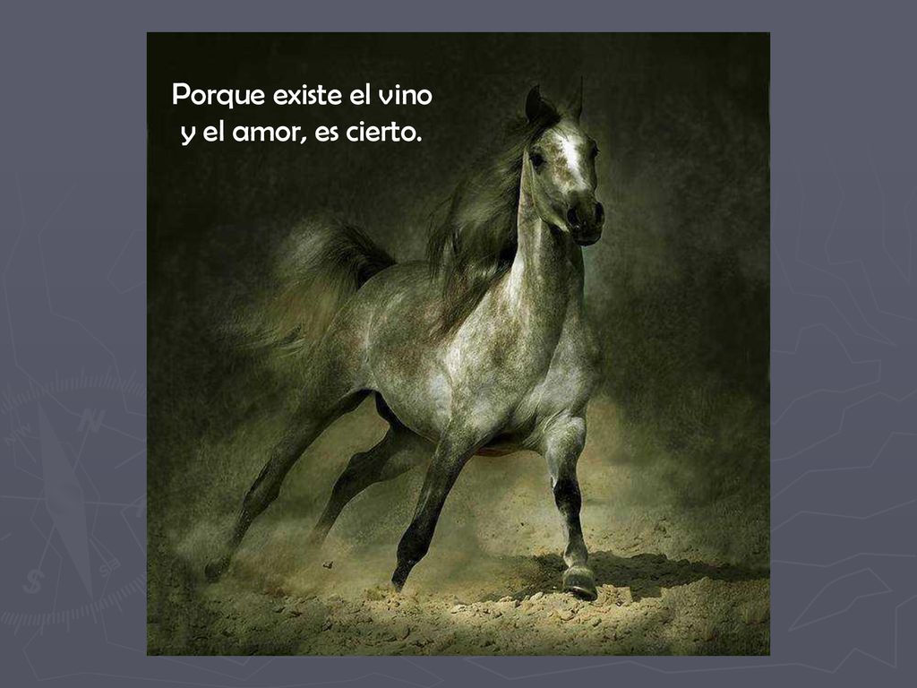 Porque existe el vino y el amor, es cierto.