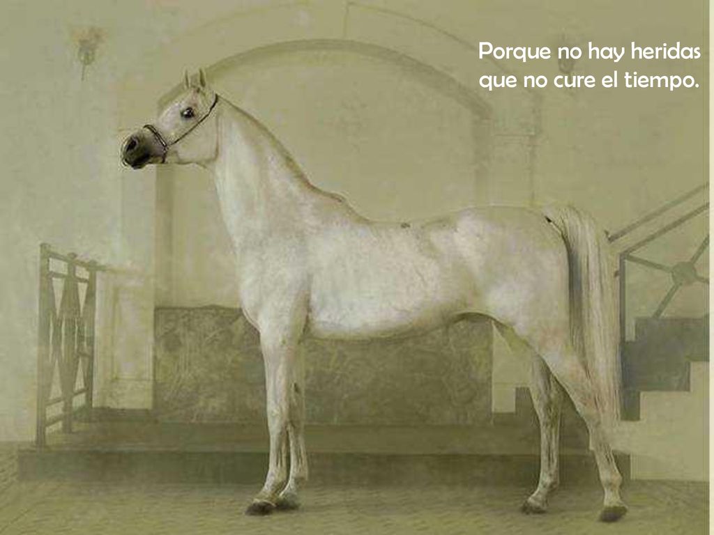 Porque no hay heridas que no cure el tiempo.