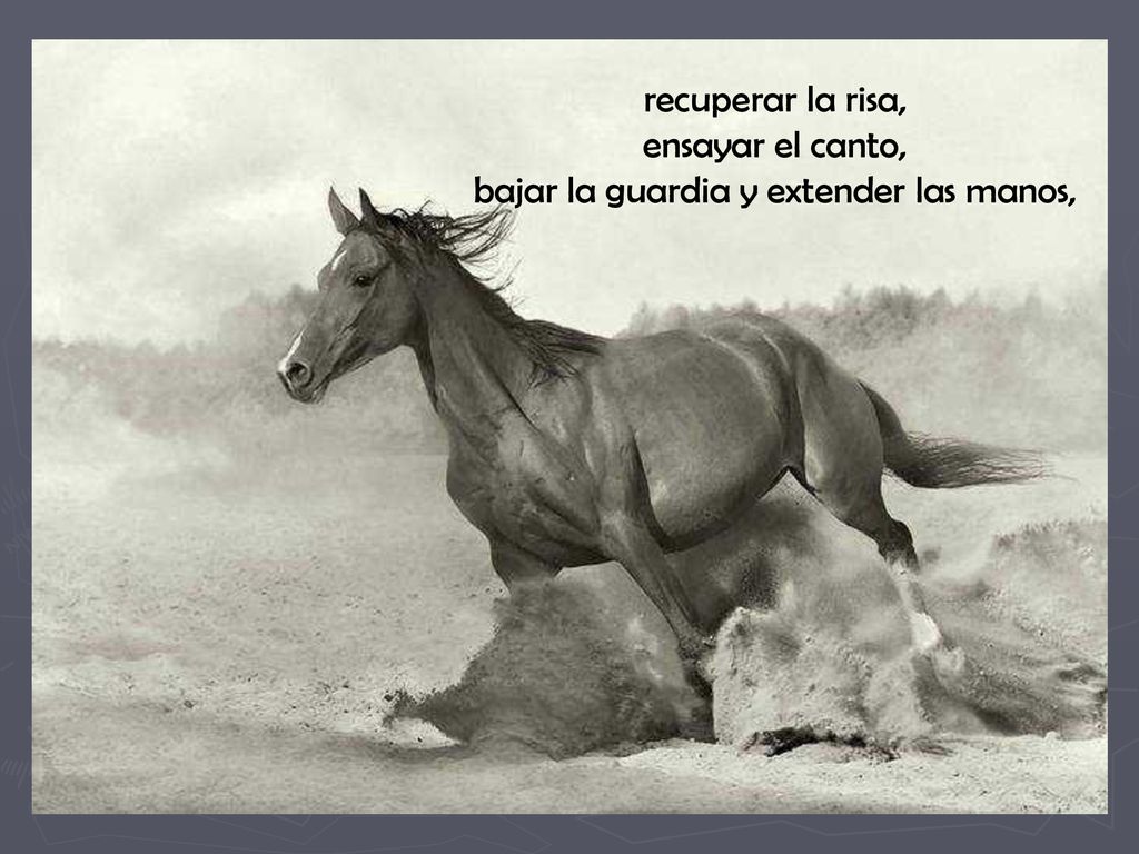 recuperar la risa, ensayar el canto, bajar la guardia y extender las manos,