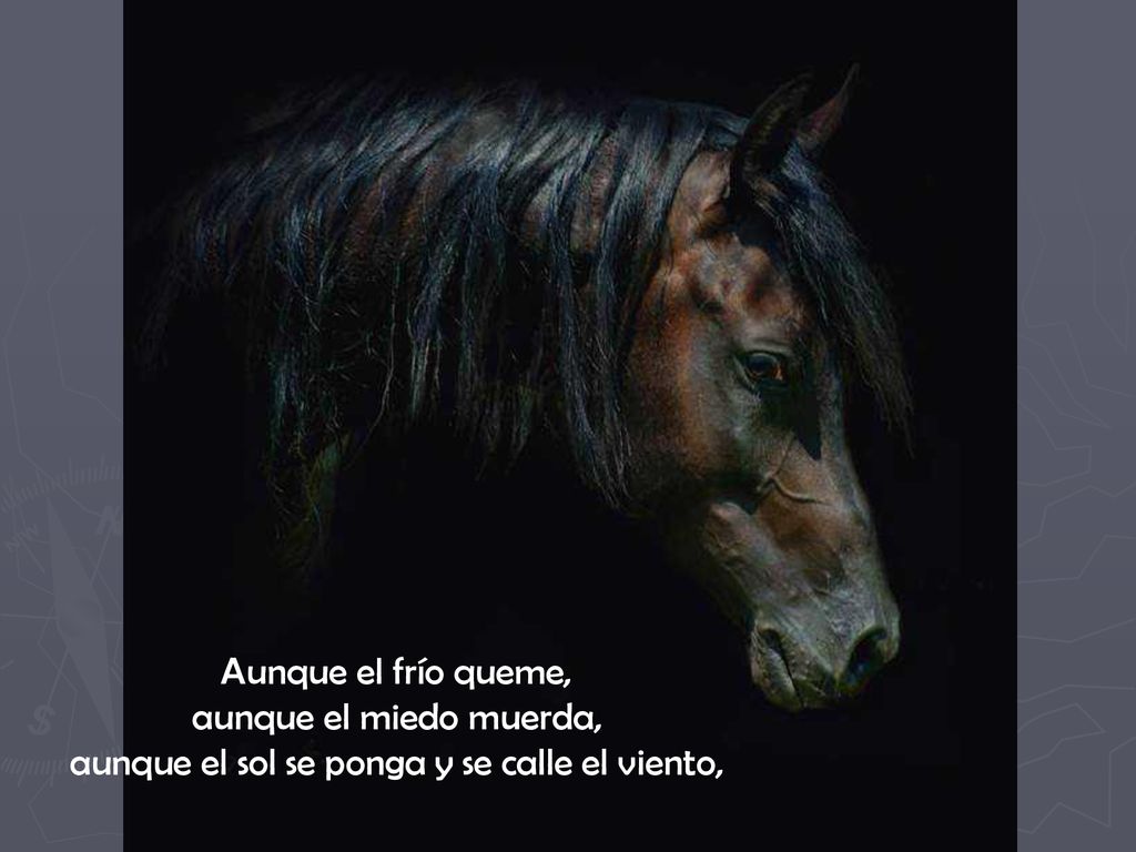 Aunque el frío queme, aunque el miedo muerda, aunque el sol se ponga y se calle el viento,