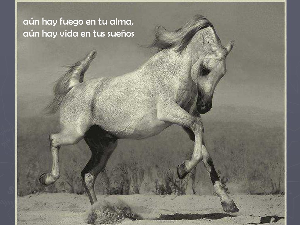 aún hay fuego en tu alma, aún hay vida en tus sueños