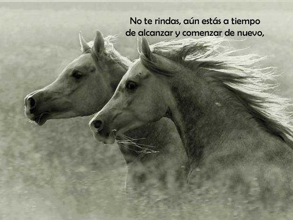 No te rindas, aún estás a tiempo de alcanzar y comenzar de nuevo,