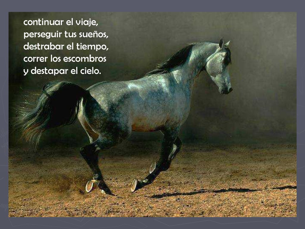continuar el viaje, perseguir tus sueños, destrabar el tiempo, correr los escombros y destapar el cielo.