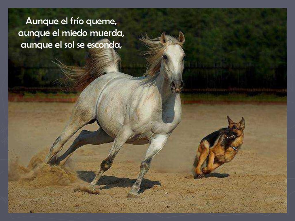 Aunque el frío queme, aunque el miedo muerda, aunque el sol se esconda,