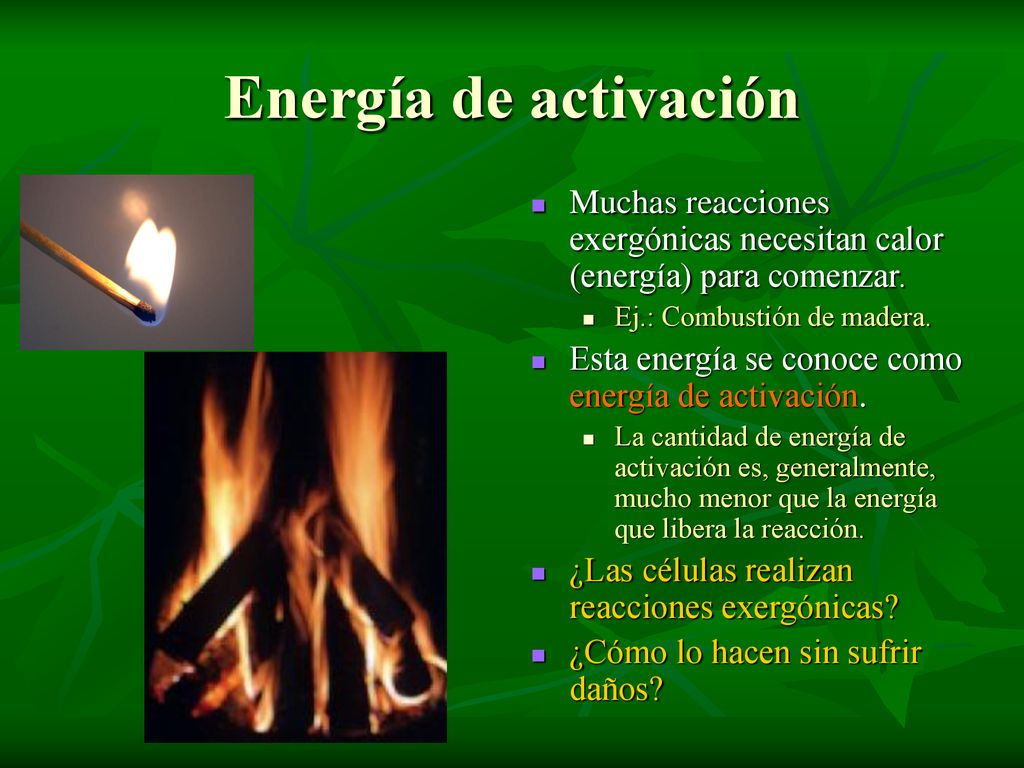 Energía de activación Muchas reacciones exergónicas necesitan calor (energía) para comenzar. Ej.: Combustión de madera.