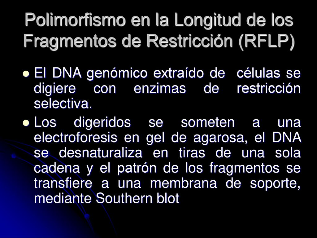 Polimorfismo en la Longitud de los Fragmentos de Restricción (RFLP)