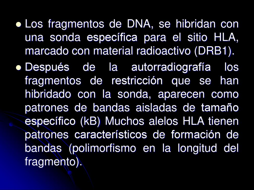 Los fragmentos de DNA, se hibridan con una sonda específica para el sitio HLA, marcado con material radioactivo (DRB1).