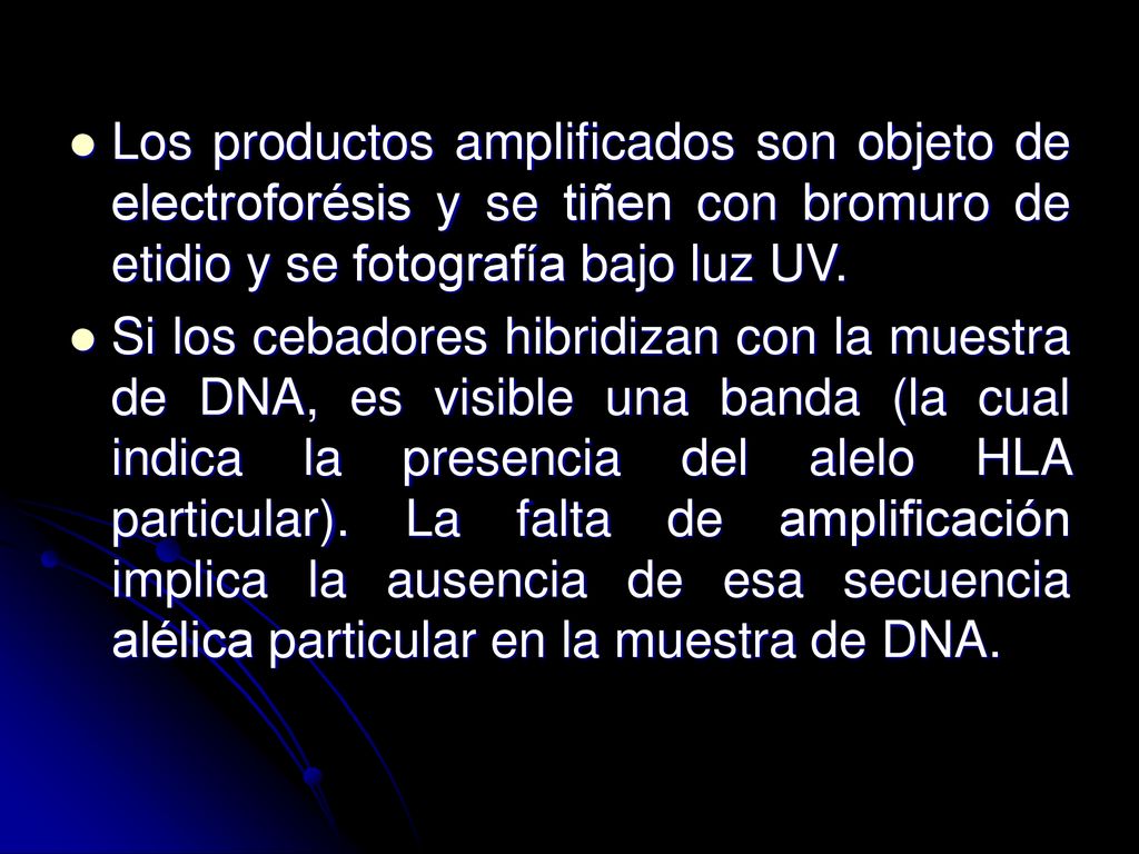 Los productos amplificados son objeto de electroforésis y se tiñen con bromuro de etidio y se fotografía bajo luz UV.
