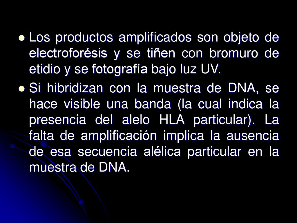 Los productos amplificados son objeto de electroforésis y se tiñen con bromuro de etidio y se fotografía bajo luz UV.