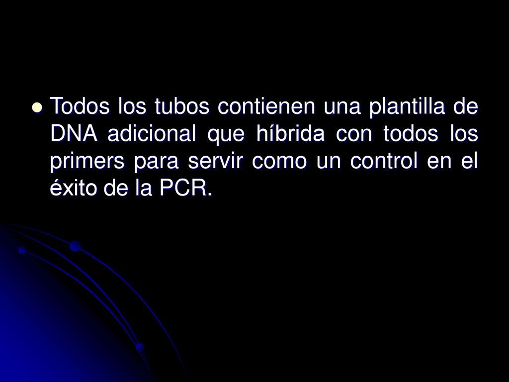 Todos los tubos contienen una plantilla de DNA adicional que híbrida con todos los primers para servir como un control en el éxito de la PCR.