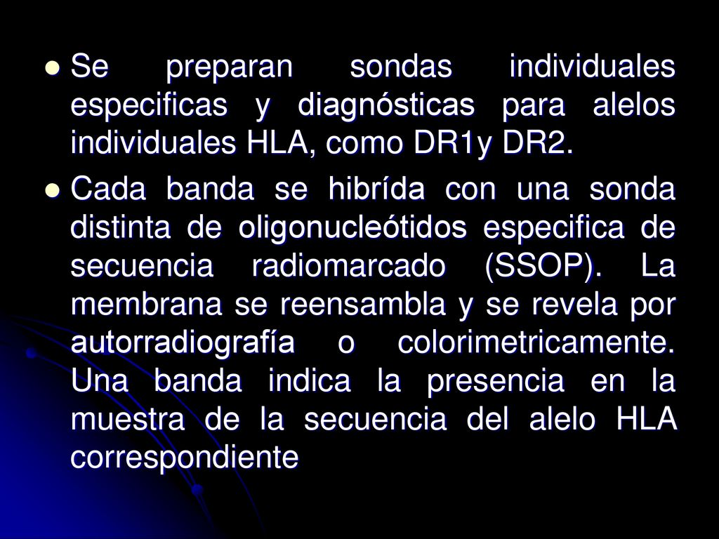 Se preparan sondas individuales especificas y diagnósticas para alelos individuales HLA, como DR1y DR2.