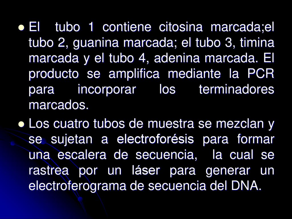 El tubo 1 contiene citosina marcada;el tubo 2, guanina marcada; el tubo 3, timina marcada y el tubo 4, adenina marcada. El producto se amplifica mediante la PCR para incorporar los terminadores marcados.