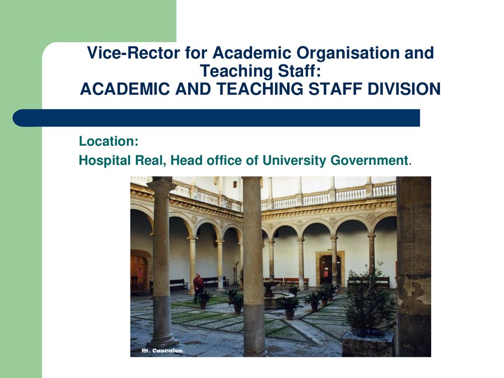 Vice-Rector for Academic Organisation and Teaching Staff: ACADEMIC AND TEACHING STAFF DIVISION