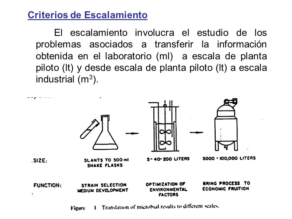 Criterios de Escalamiento El escalamiento involucra el estudio de los problemas asociados a transferir la información obtenida en el laboratorio (ml) a escala de planta piloto (lt) y desde escala de planta piloto (lt) a escala industrial (m3).