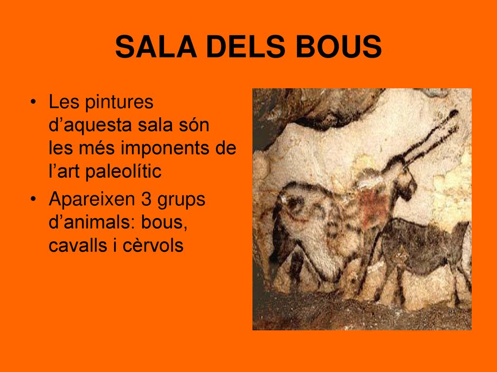 SALA DELS BOUS Les pintures d’aquesta sala són les més imponents de l’art paleolític.