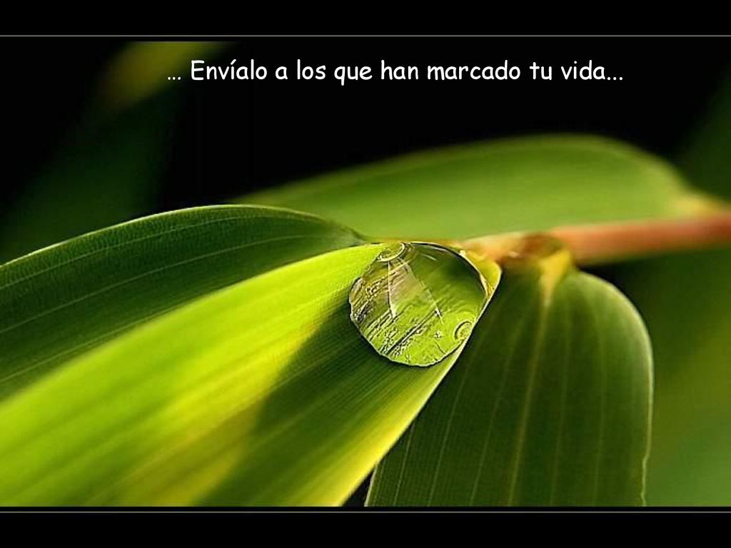 … Envíalo a los que han marcado tu vida...
