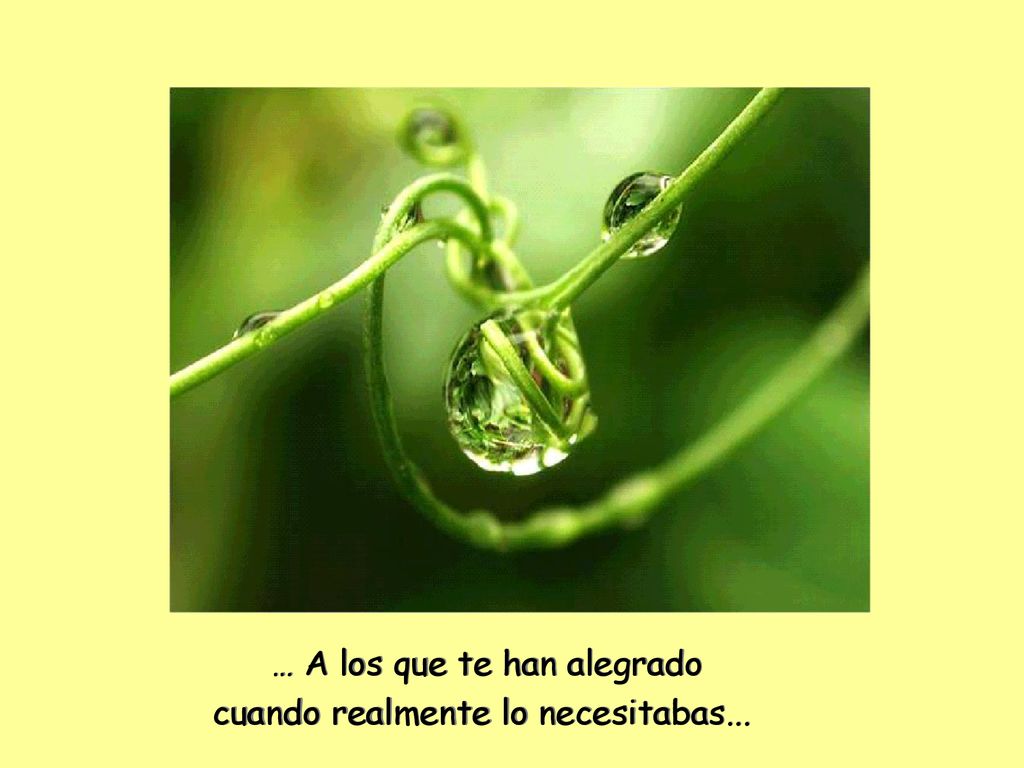 … A los que te han alegrado cuando realmente lo necesitabas...