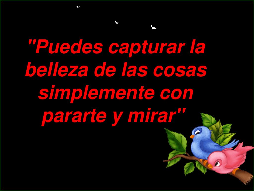Puedes capturar la belleza de las cosas simplemente con pararte y mirar
