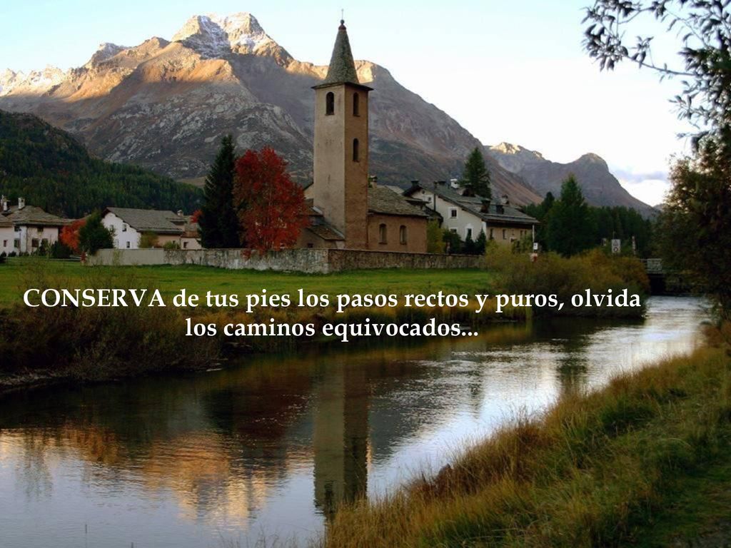 CONSERVA de tus pies los pasos rectos y puros, olvida los caminos equivocados...