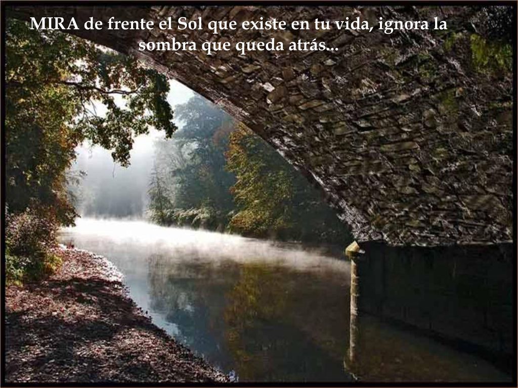 MIRA de frente el Sol que existe en tu vida, ignora la sombra que queda atrás...