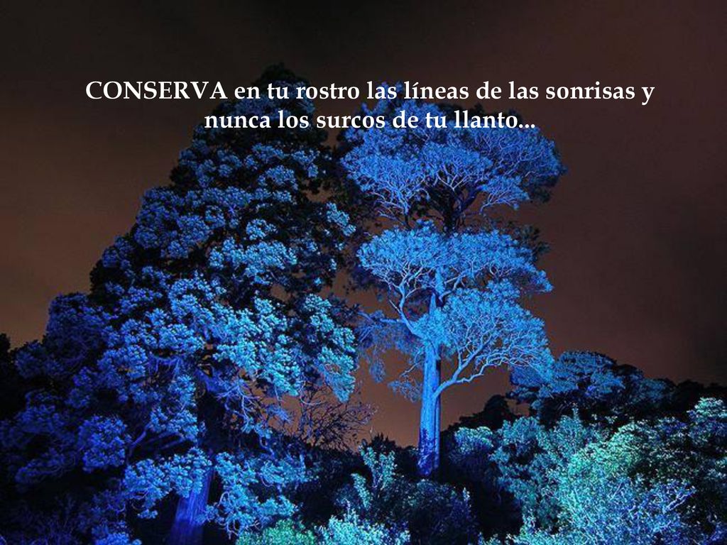 CONSERVA en tu rostro las líneas de las sonrisas y nunca los surcos de tu llanto...