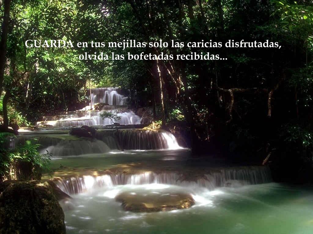 GUARDA en tus mejillas solo las caricias disfrutadas, olvida las bofetadas recibidas...