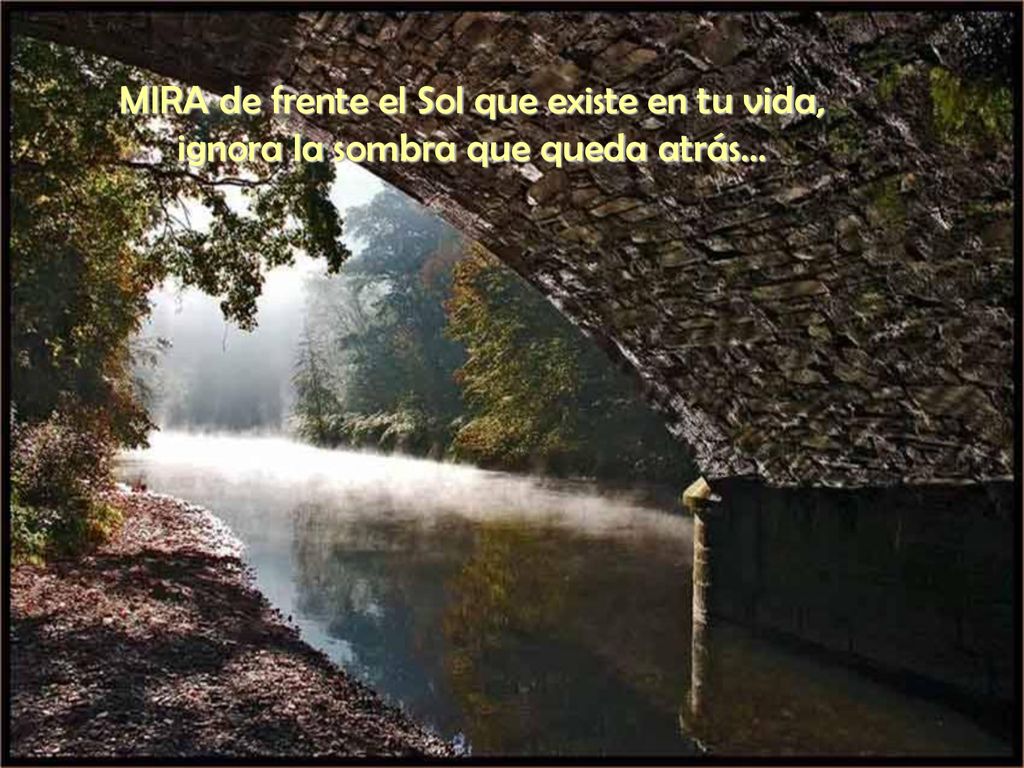 MIRA de frente el Sol que existe en tu vida,