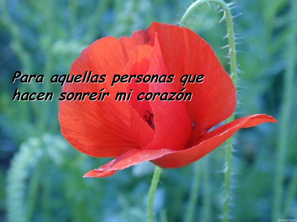 Para aquellas personas que hacen sonreír mi corazón