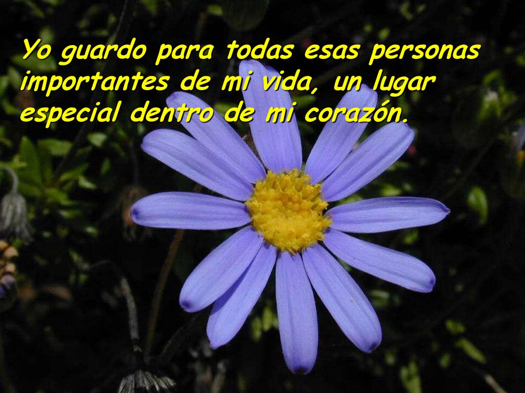 Yo guardo para todas esas personas importantes de mi vida, un lugar especial dentro de mi corazón.
