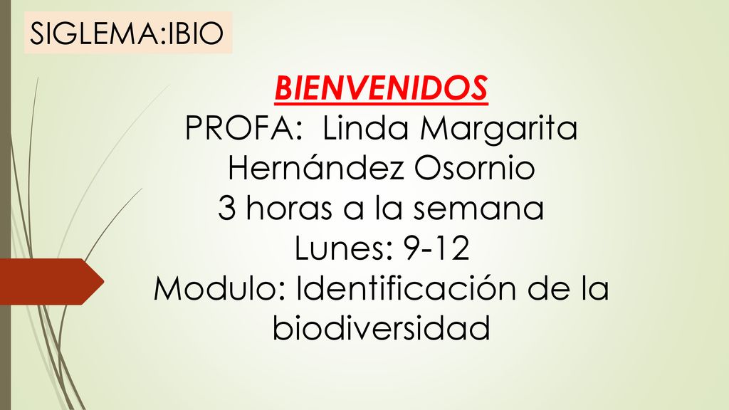 PROFA: Linda Margarita Hernández Osornio 3 horas a la semana