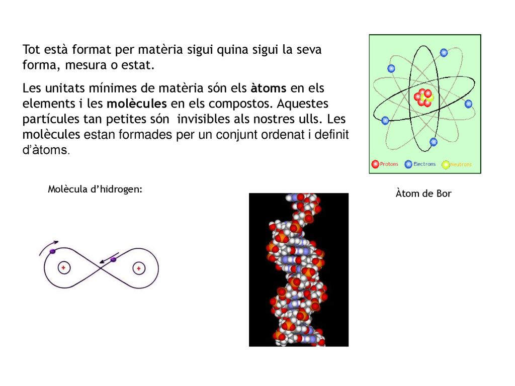 Tot està format per matèria sigui quina sigui la seva forma, mesura o estat.