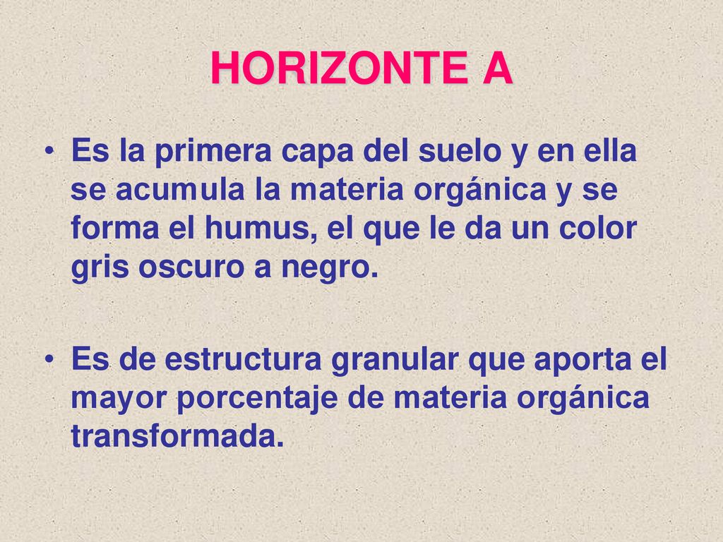 HORIZONTE A Es la primera capa del suelo y en ella se acumula la materia orgánica y se forma el humus, el que le da un color gris oscuro a negro.