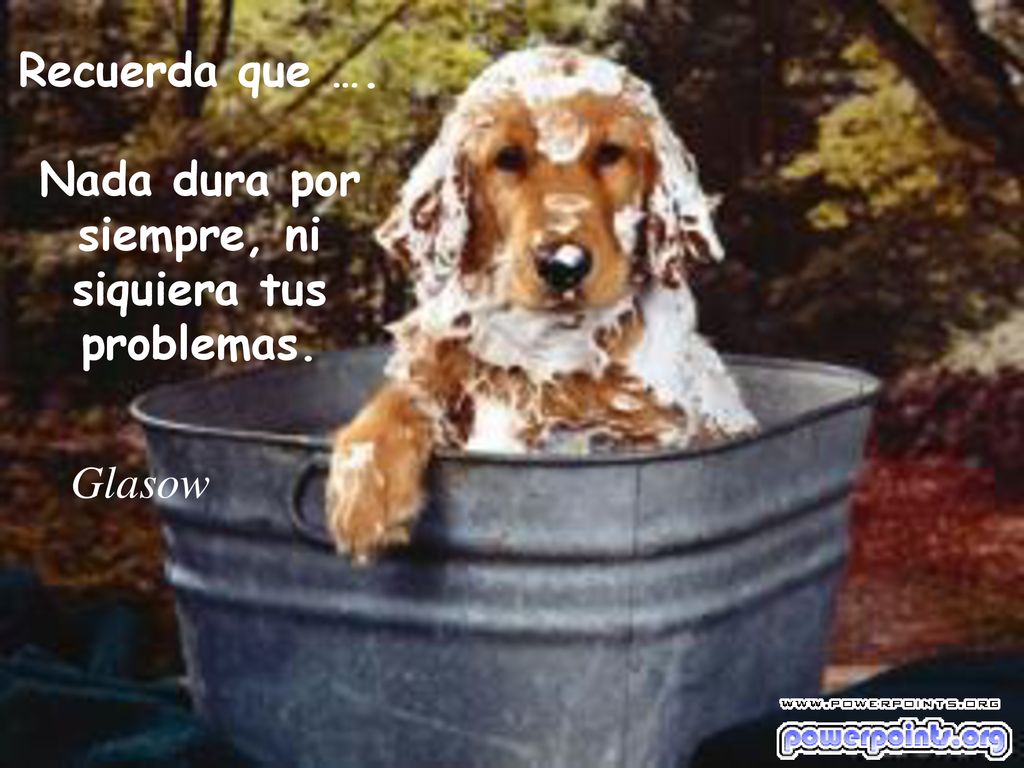 Recuerda que …. Nada dura por siempre, ni siquiera tus problemas.