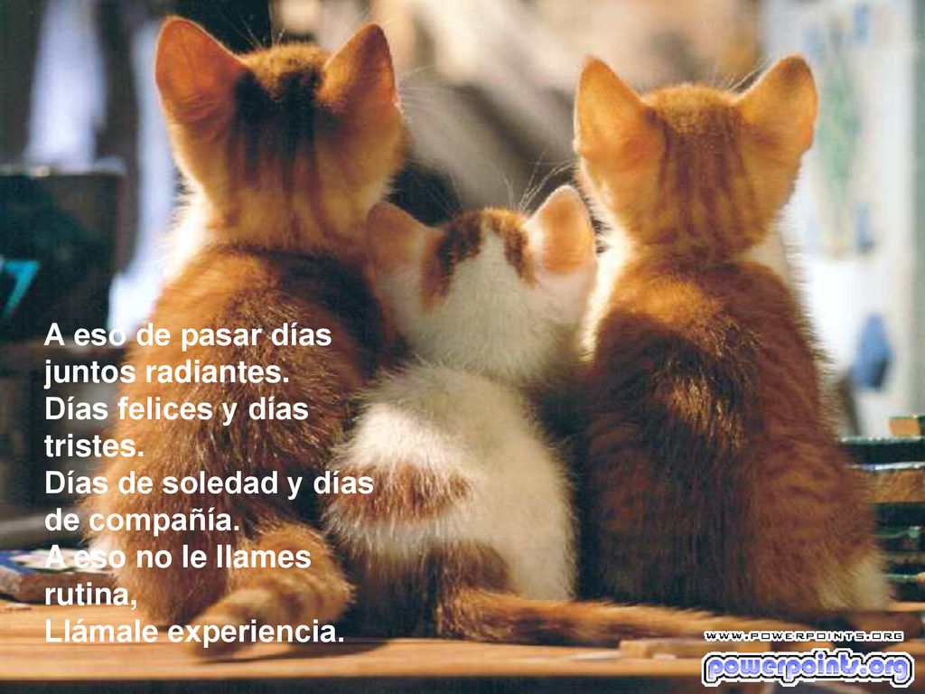A eso de pasar días juntos radiantes. Días felices y días tristes
