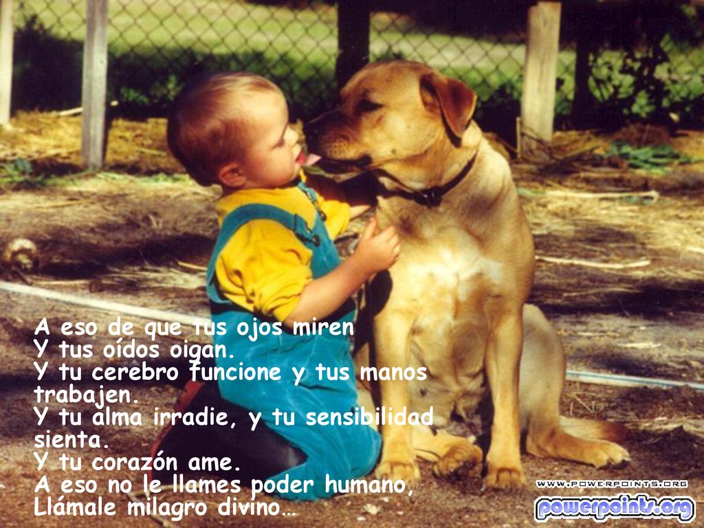A eso de que tus ojos miren Y tus oídos oigan