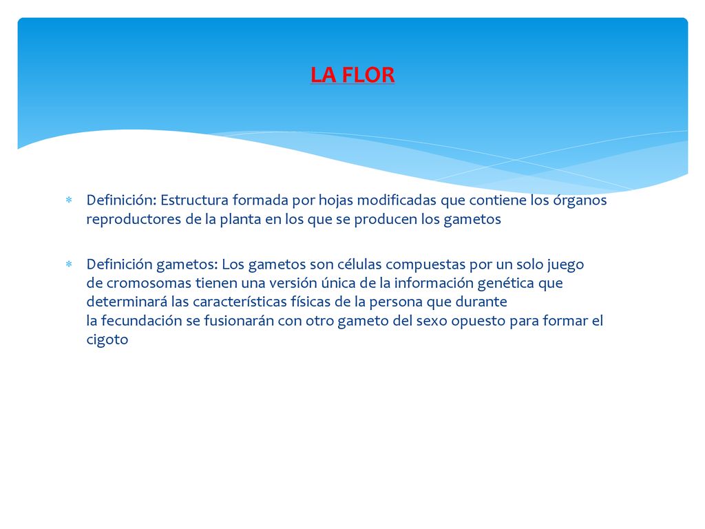 LA FLOR Definición: Estructura formada por hojas modificadas que contiene los órganos reproductores de la planta en los que se producen los gametos.
