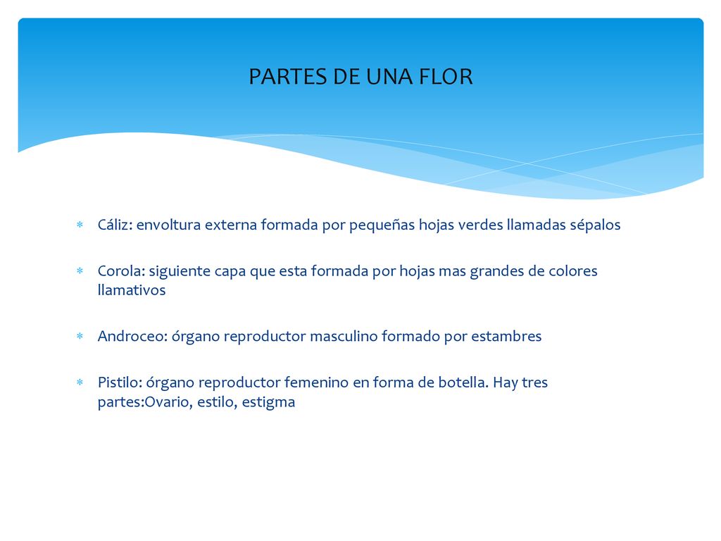 PARTES DE UNA FLOR Cáliz: envoltura externa formada por pequeñas hojas verdes llamadas sépalos.