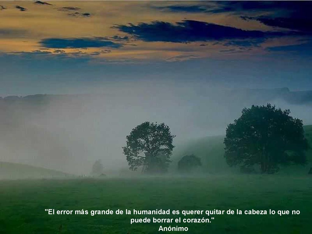 El error más grande de la humanidad es querer quitar de la cabeza lo que no puede borrar el corazón.