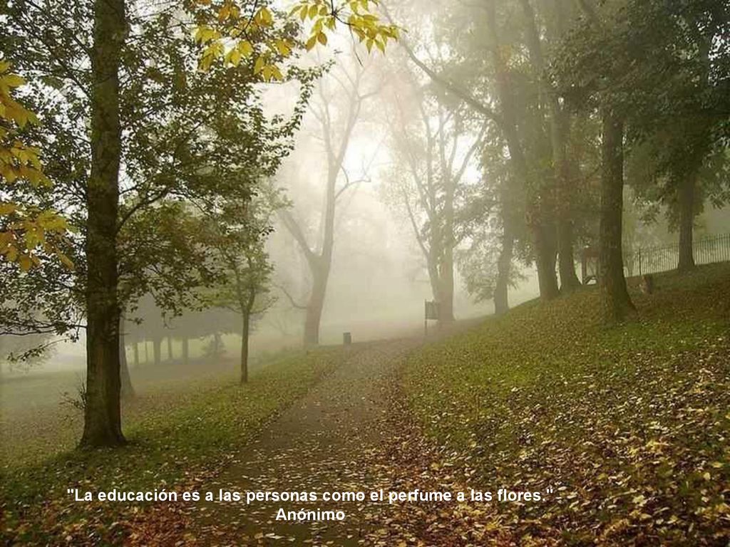 La educación es a las personas como el perfume a las flores.