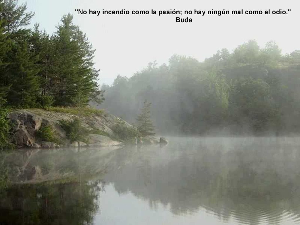 No hay incendio como la pasión; no hay ningún mal como el odio.