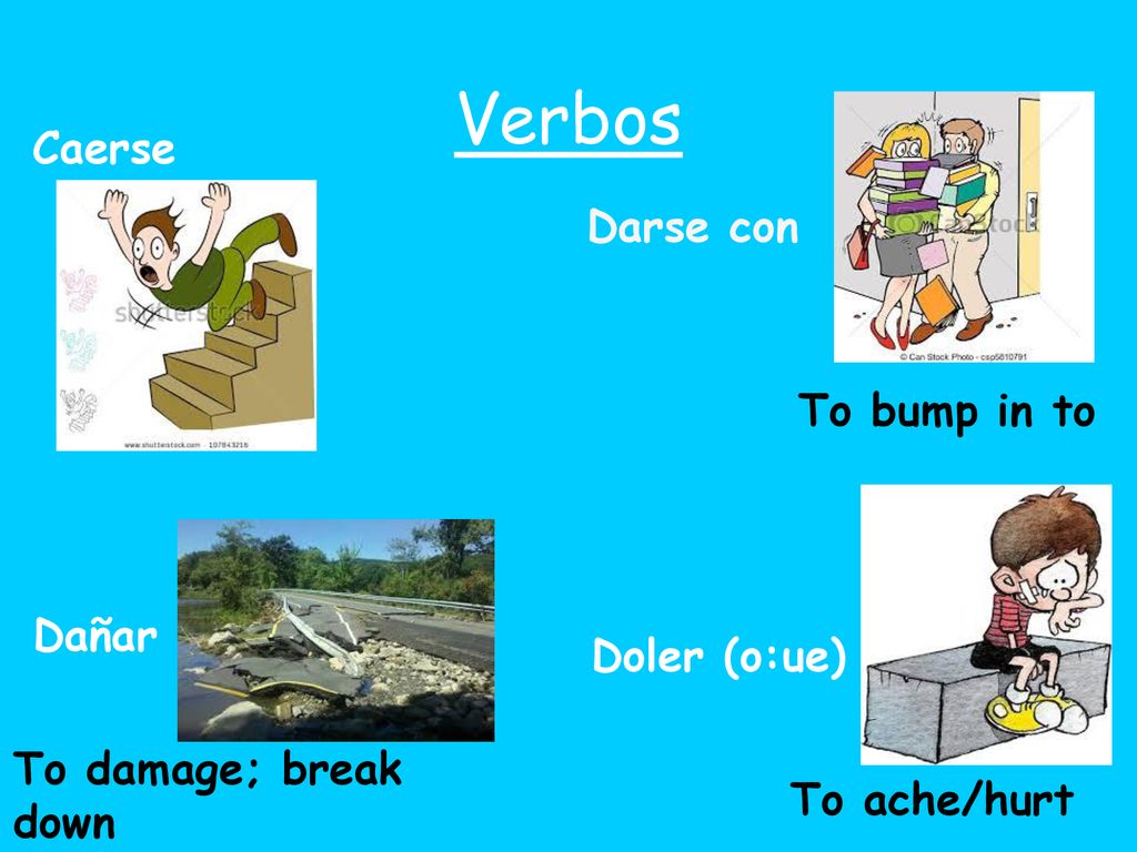Verbos Caerse Darse con To bump in to Dañar Doler (o:ue)