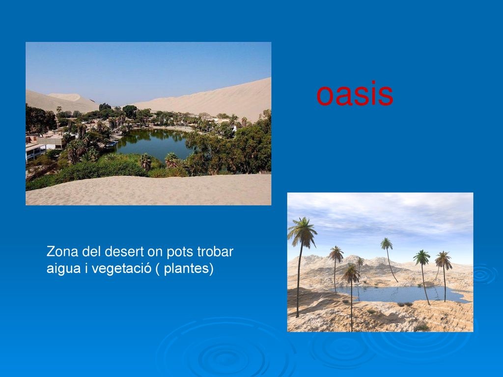 oasis Zona del desert on pots trobar aigua i vegetació ( plantes)